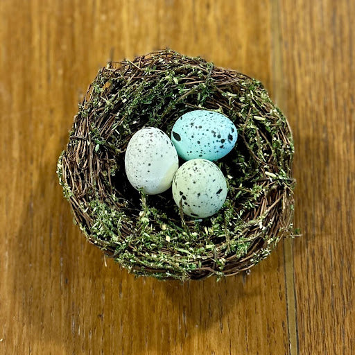 Small Bird’s Nest