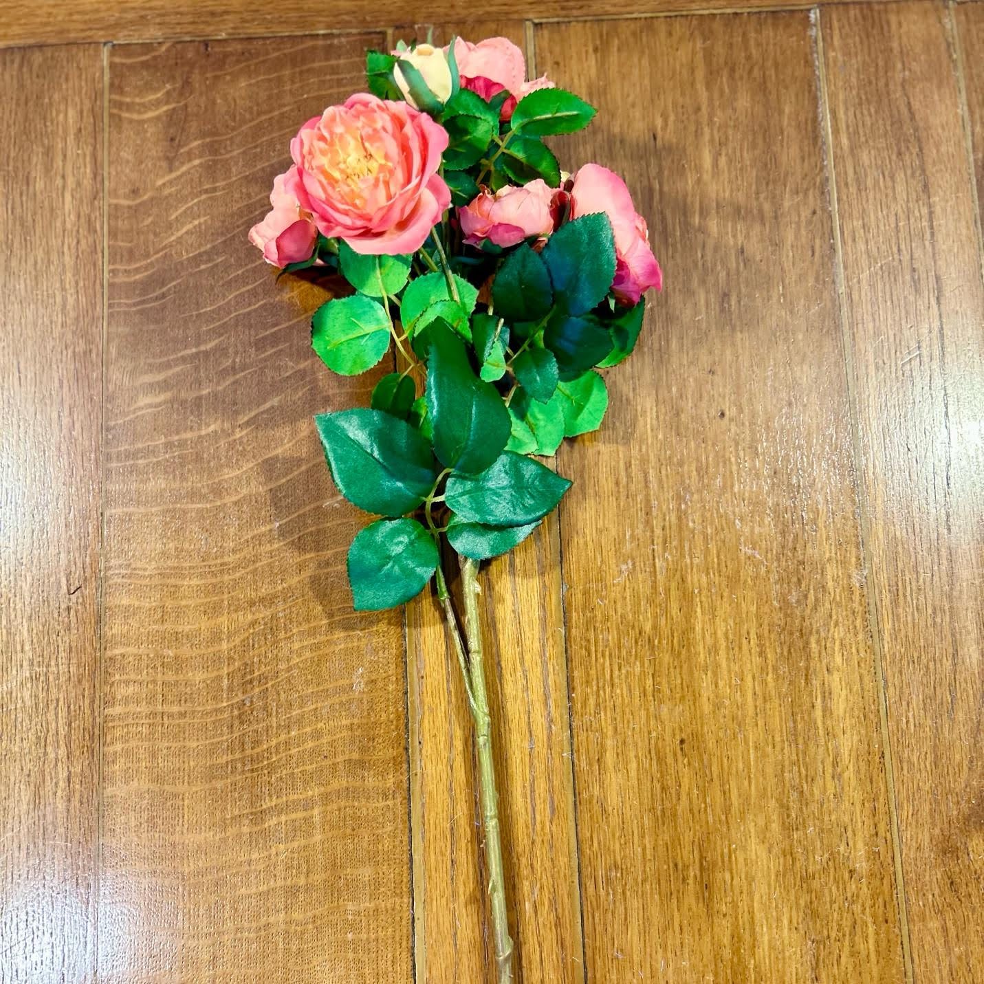 Rose Cluster