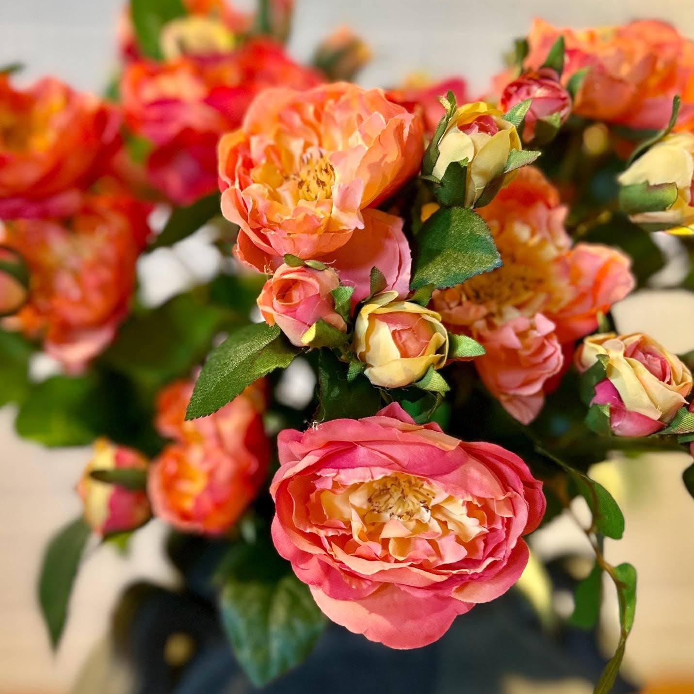 Rose Cluster
