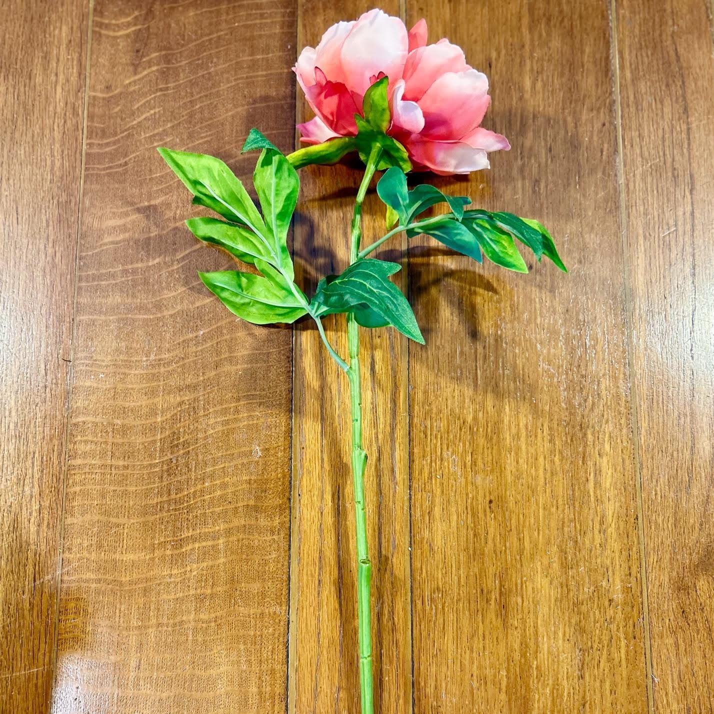 Salmon Peony Stem