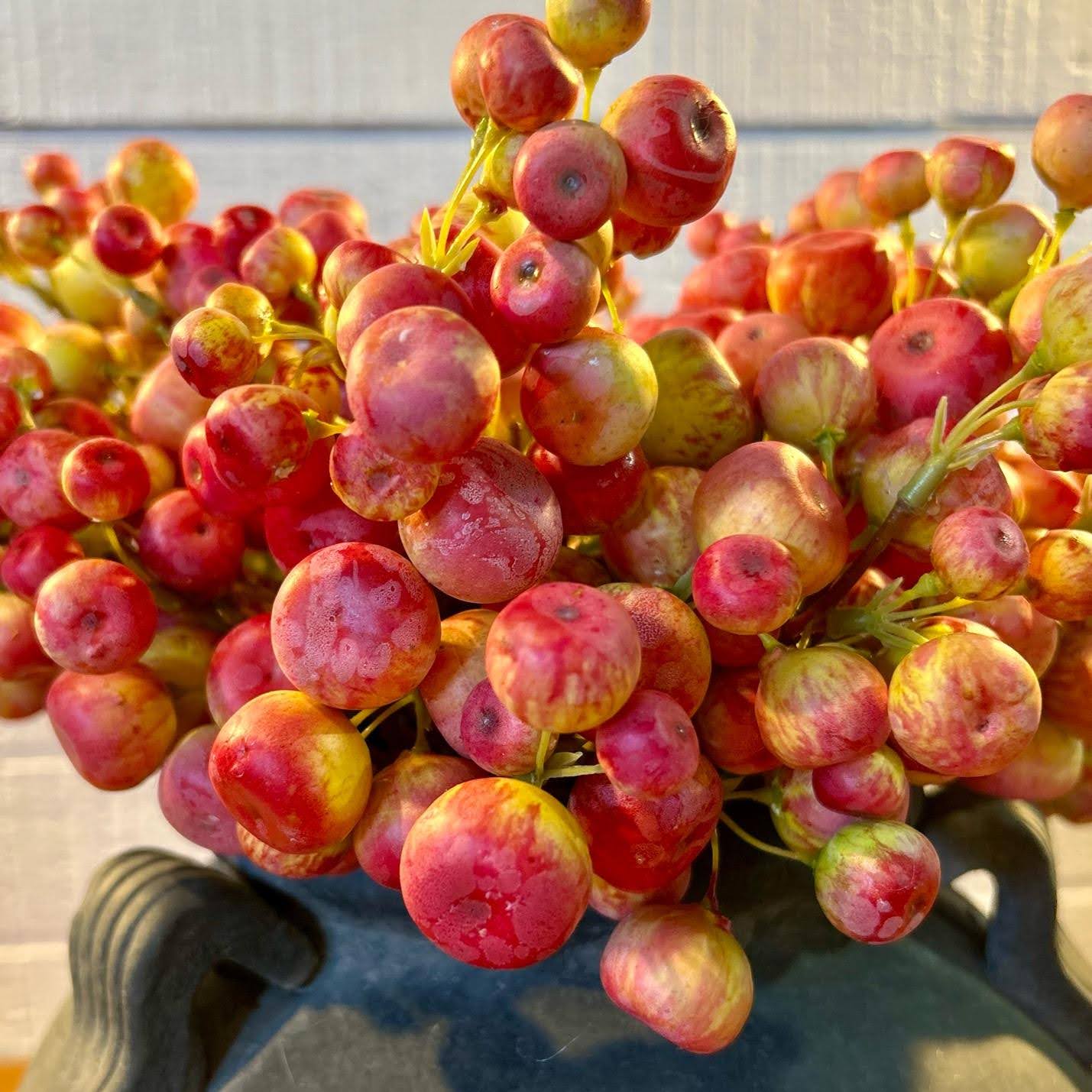Crabapple Bundle