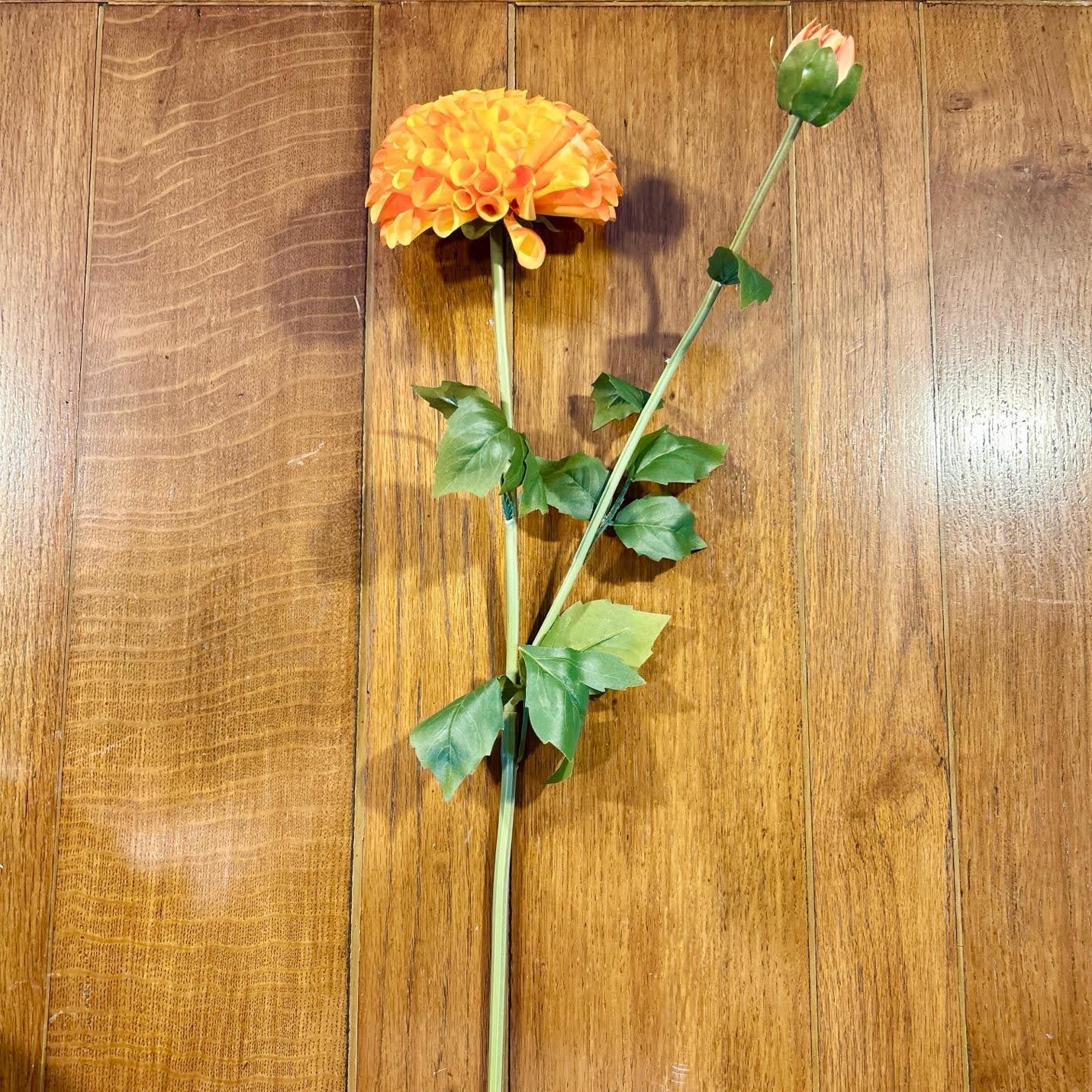 Orange Dahlia Stem
