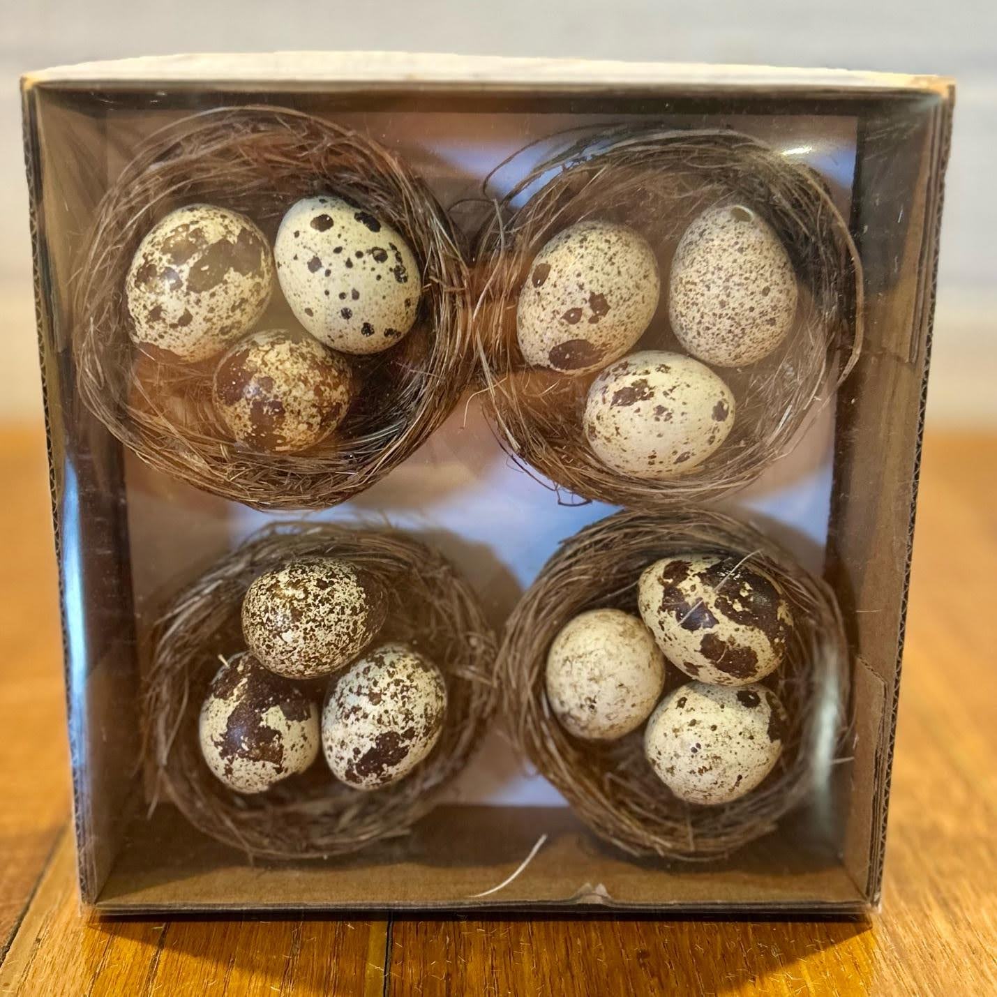 Nest with Blown Eggs