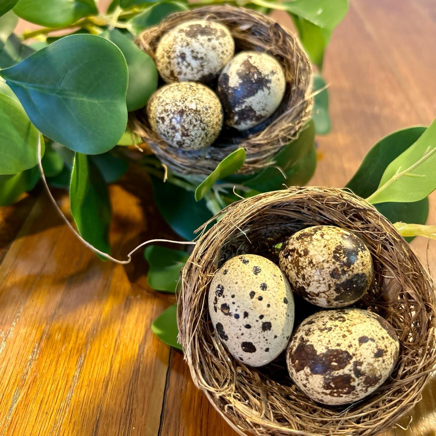 Seasonal Decor
