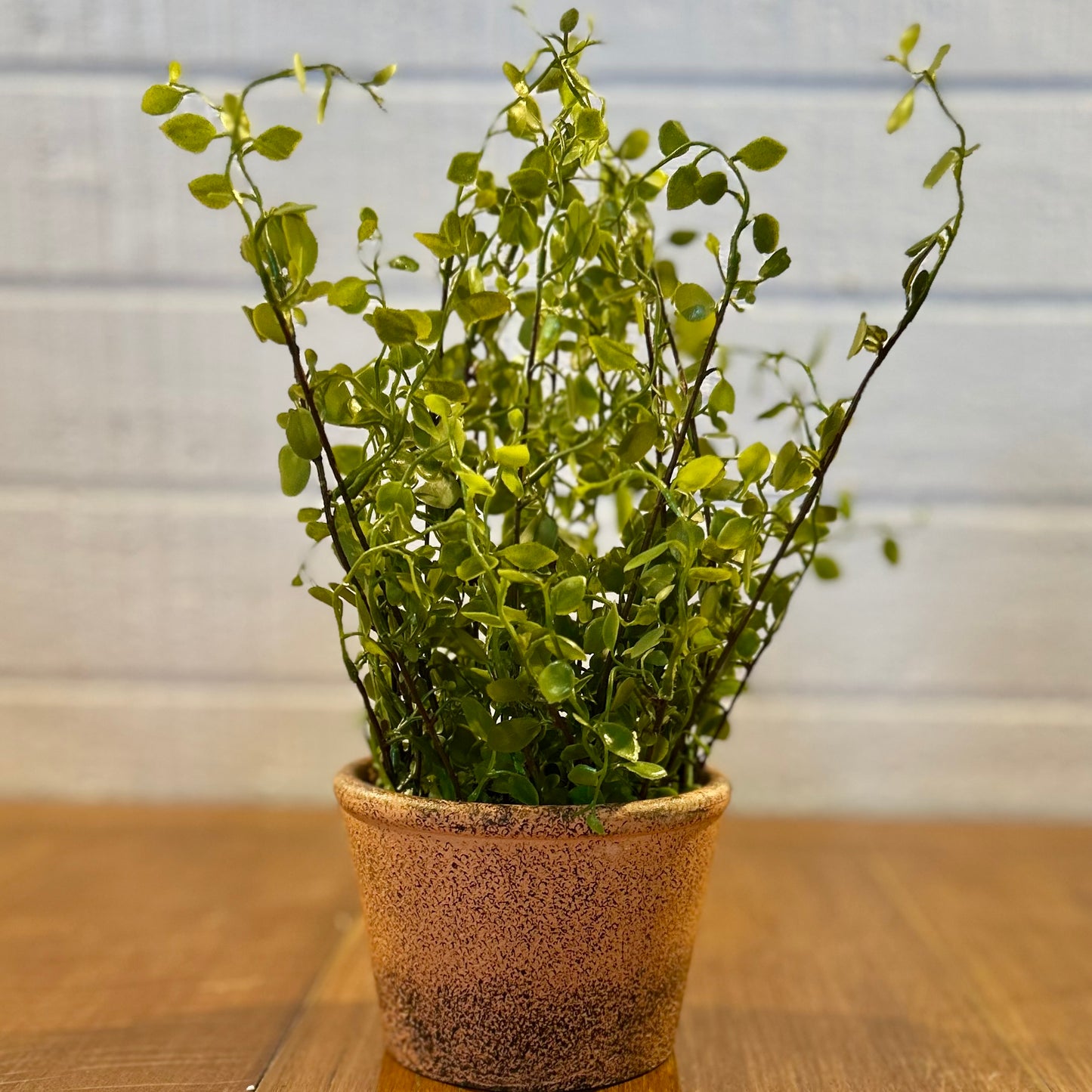 Faux Potted Plant
