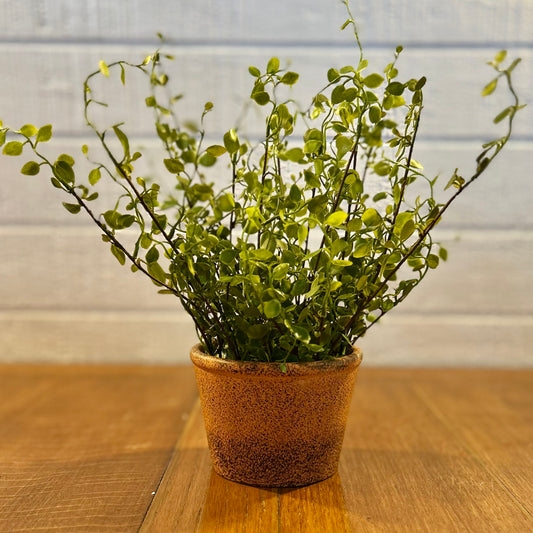 Faux Potted Plant