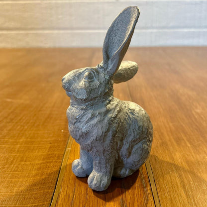 Scratching Bunny