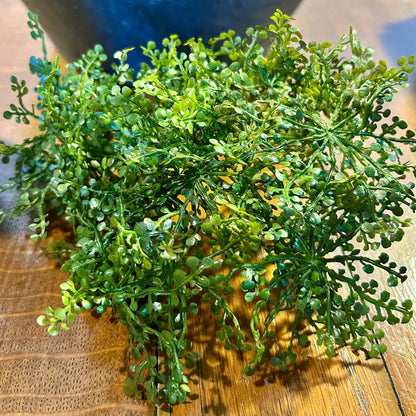 Baby’s Tears Pot Cover