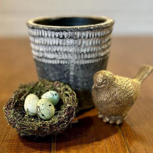 Small Bird’s Nest