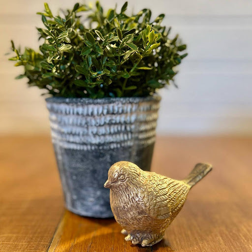 Gold Bird