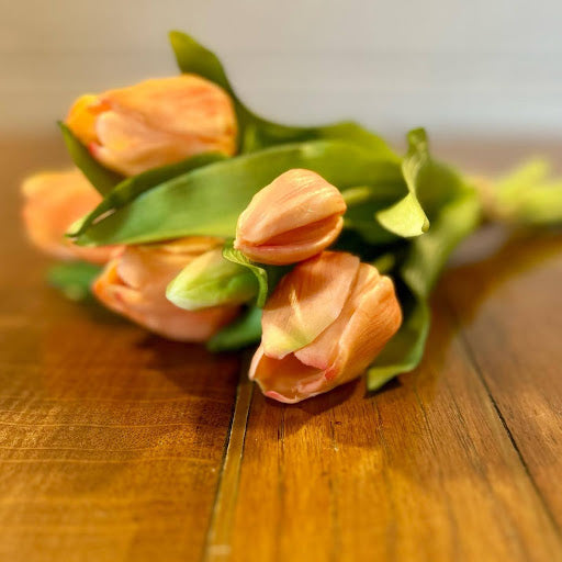 Orange Real Touch Tulip