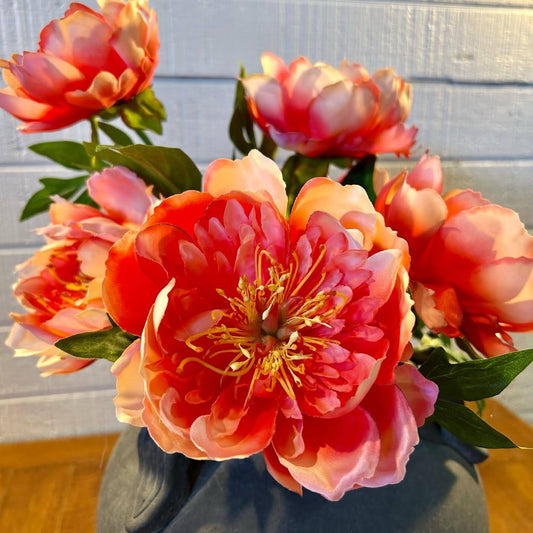 Salmon Peony Stem