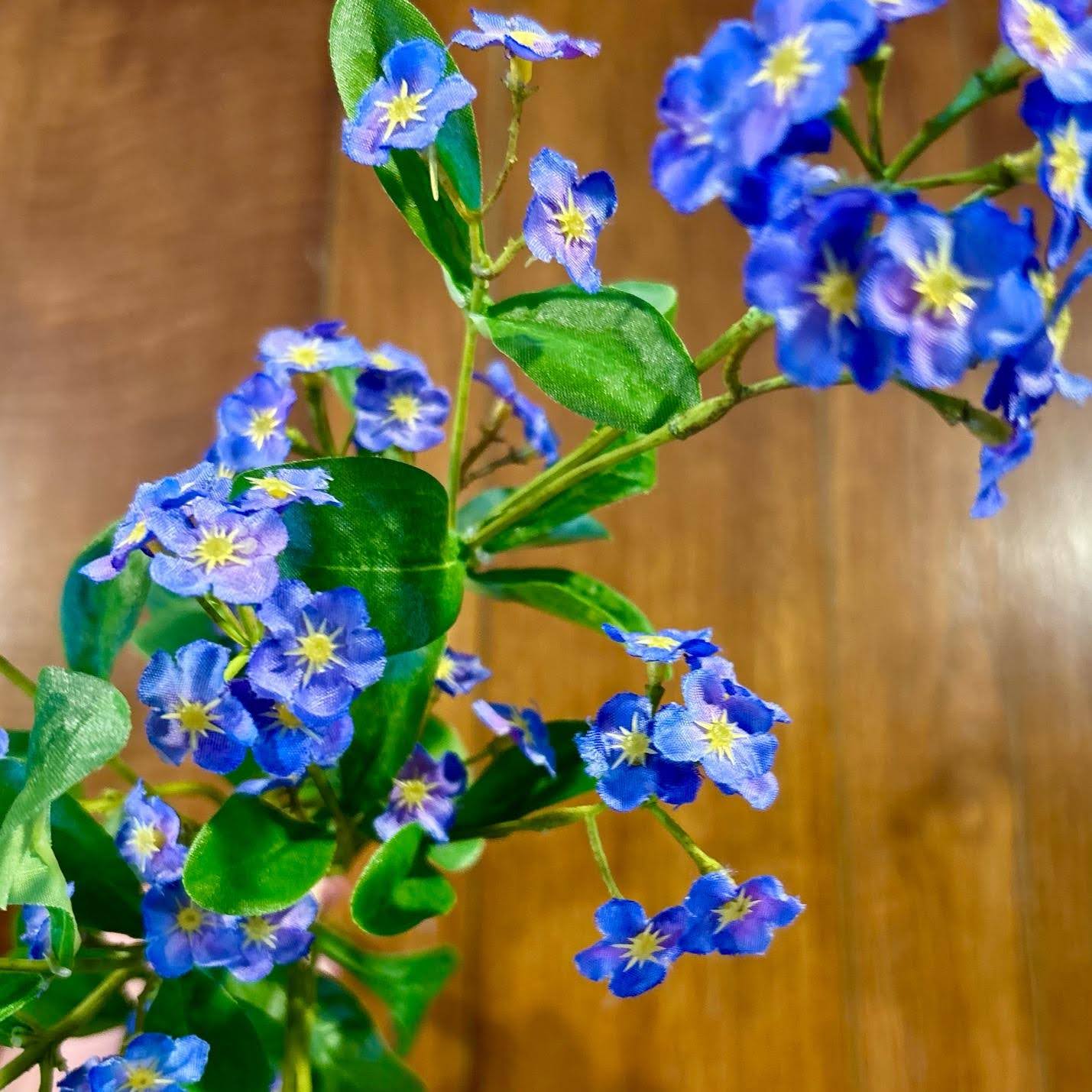 Forget Me Not Bundle