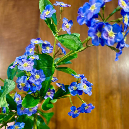 Forget Me Not Bundle