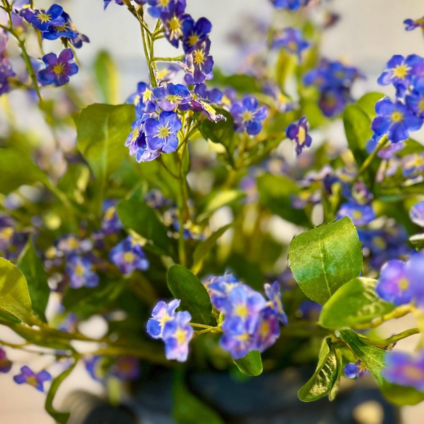 Forget Me Not Bundle
