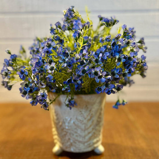 Purple Waxflower Bush