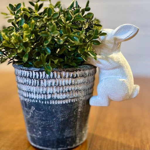 Climbing Bunny Pot Hanger