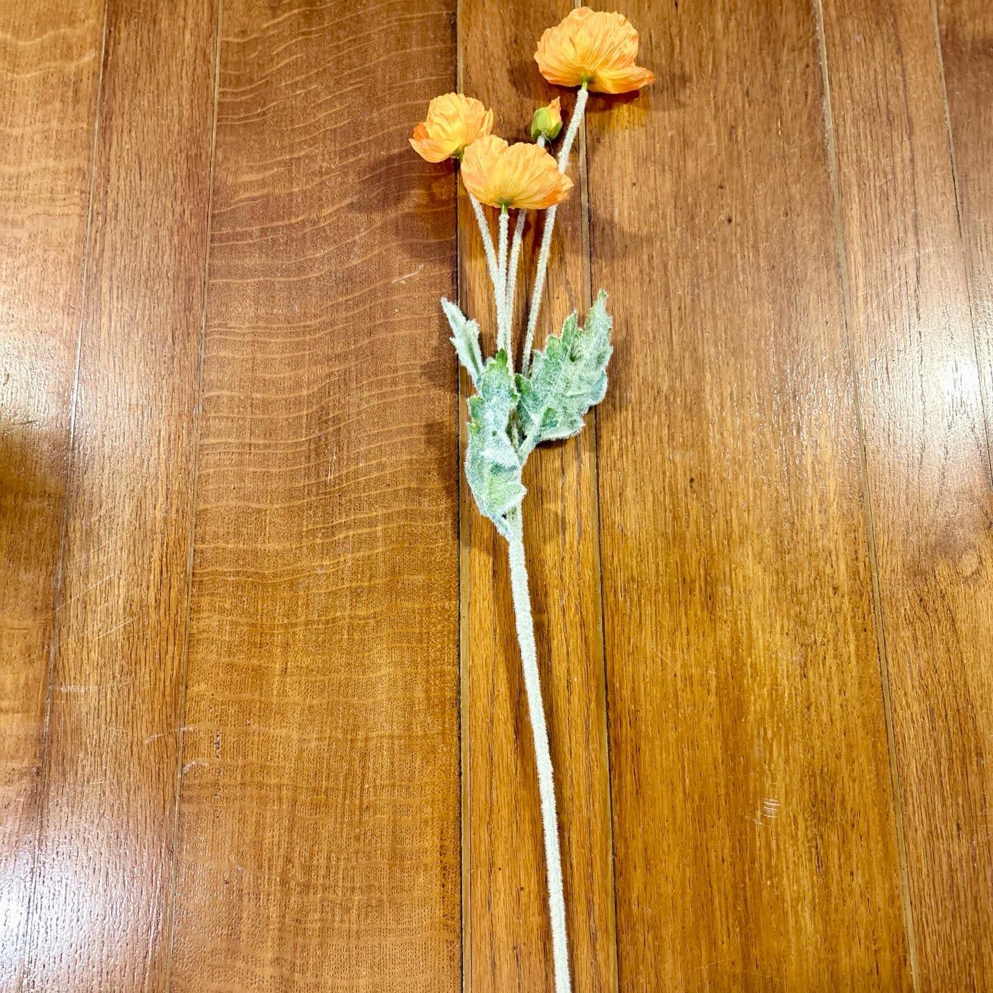 Orange Poppy Spray