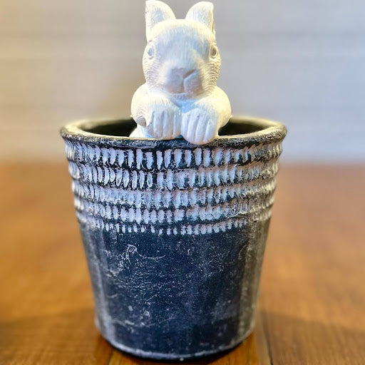 Climbing Bunny Pot Hanger