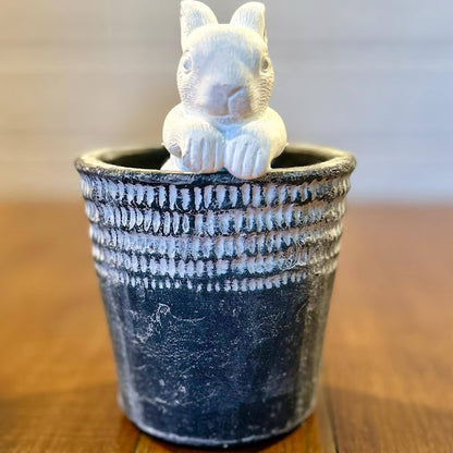 Climbing Bunny Pot Hanger