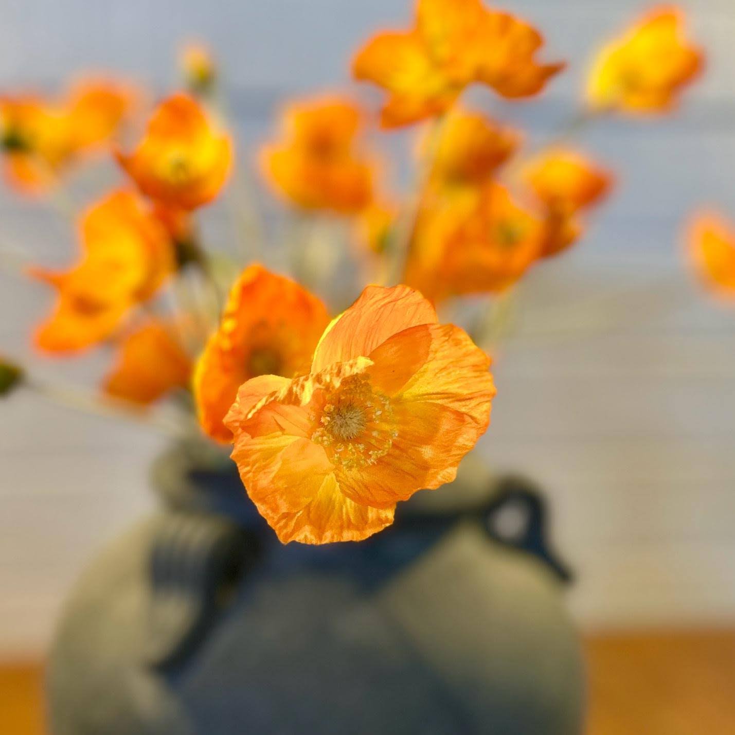 Orange Poppy Spray
