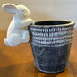 Climbing Bunny Pot Hanger