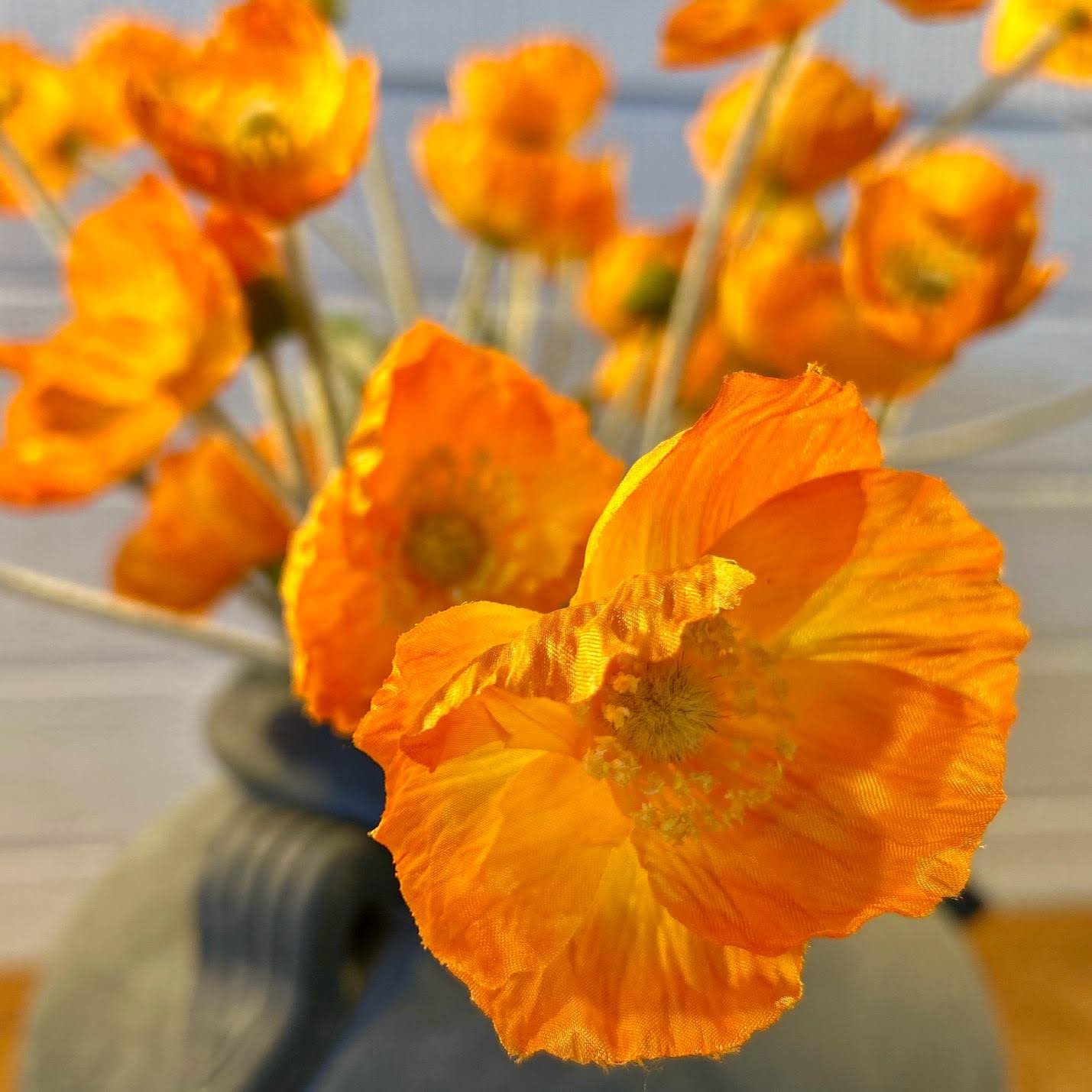 Orange Poppy Spray