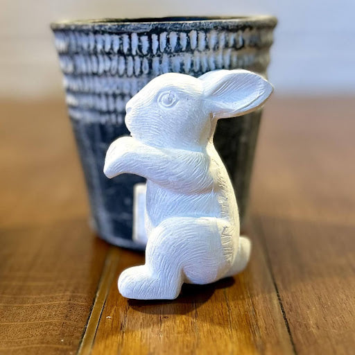 Climbing Bunny Pot Hanger