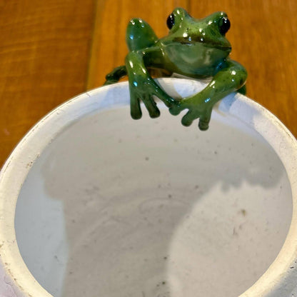 Climbing Frog Pot Hanger