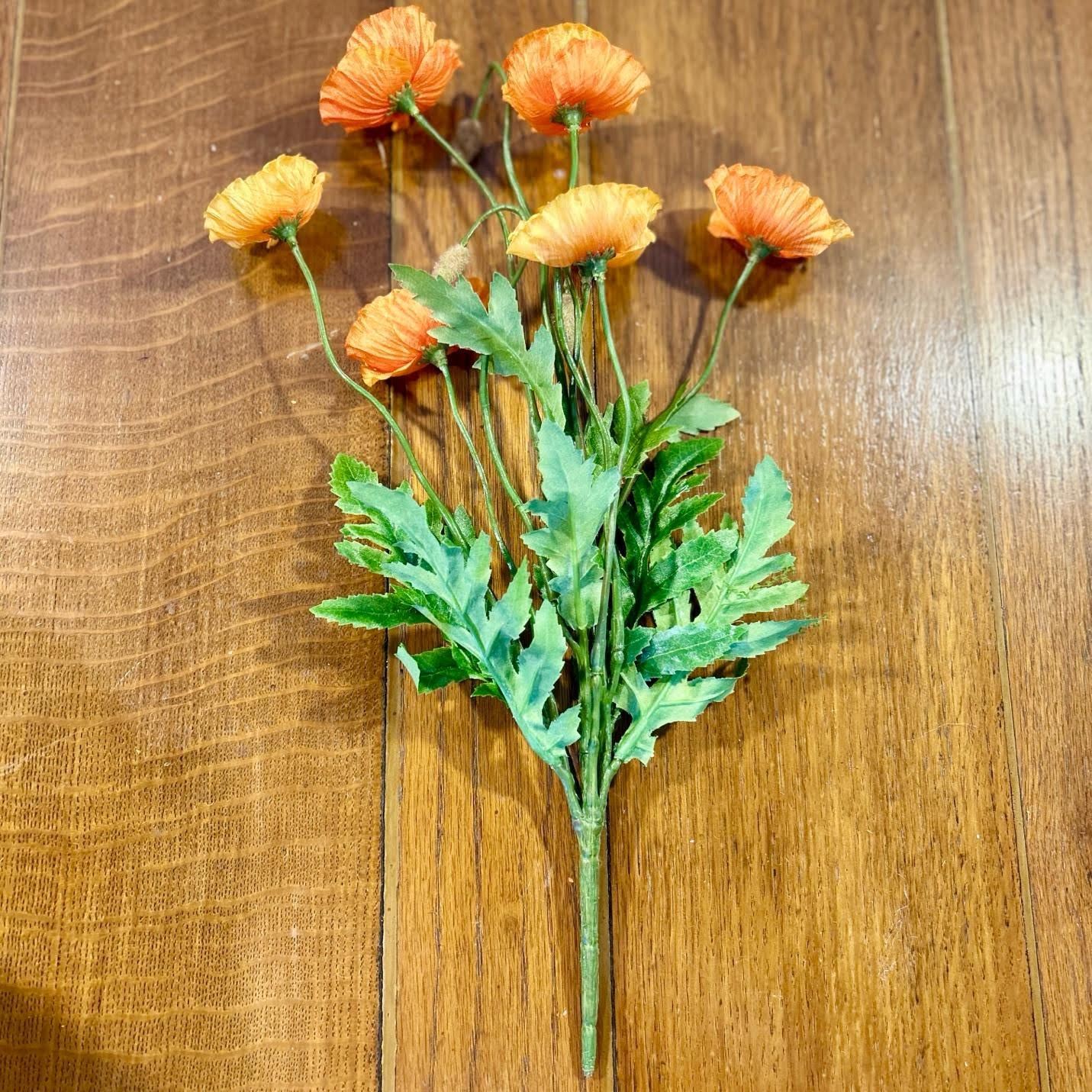Orange Poppy Bush