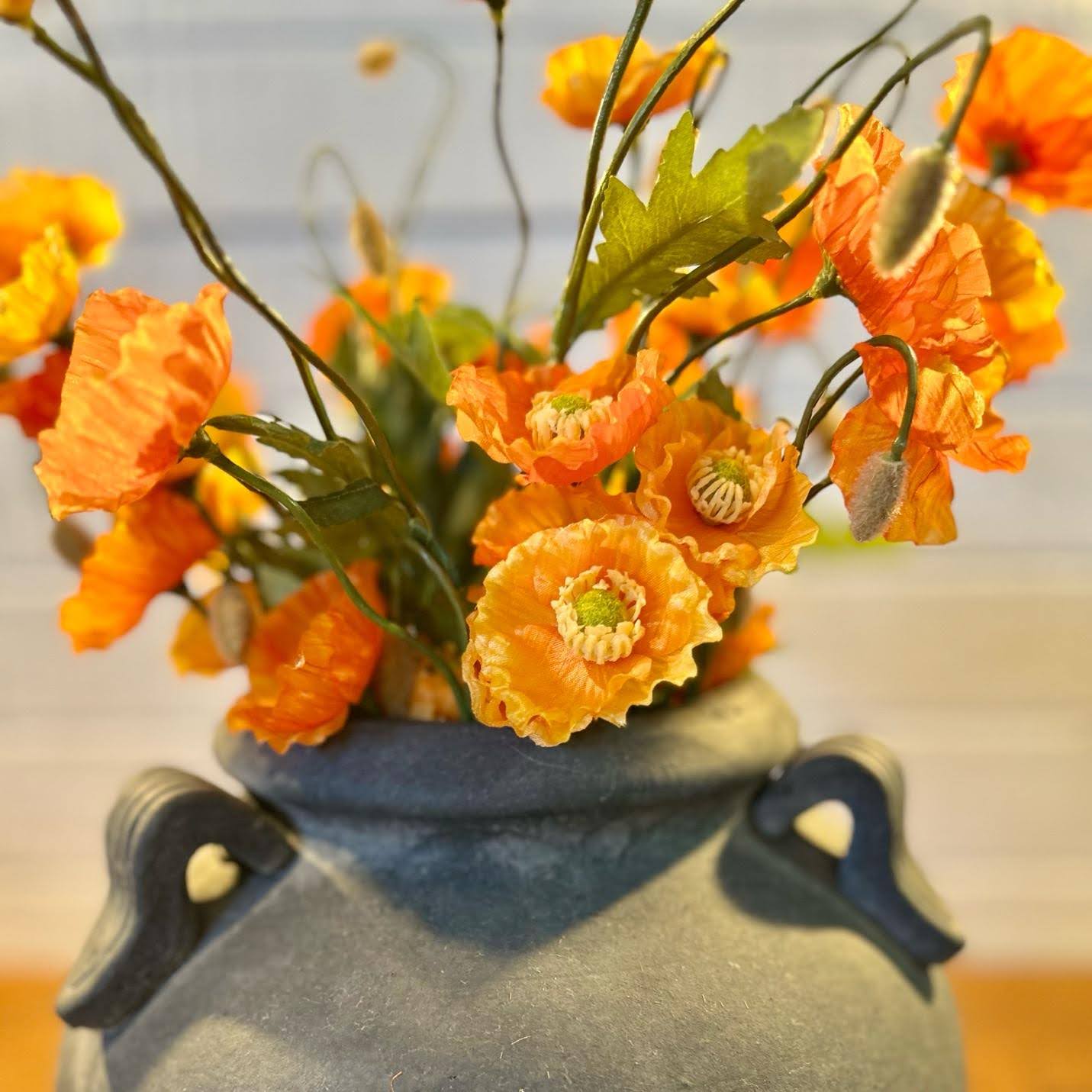Orange Poppy Bush