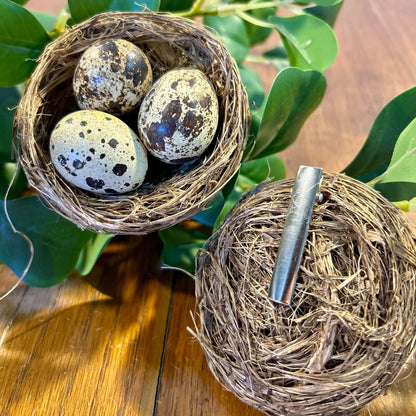 Nest with Blown Eggs