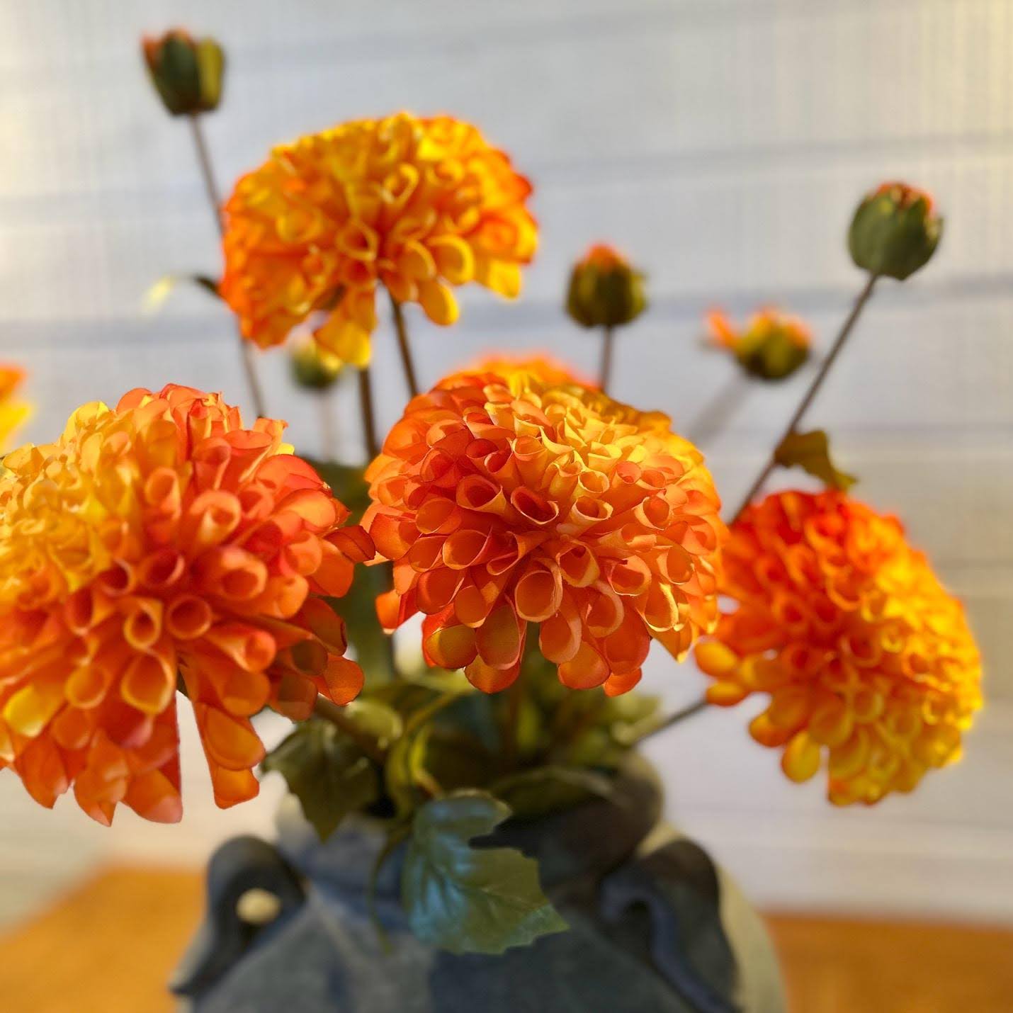 Orange Dahlia Stem