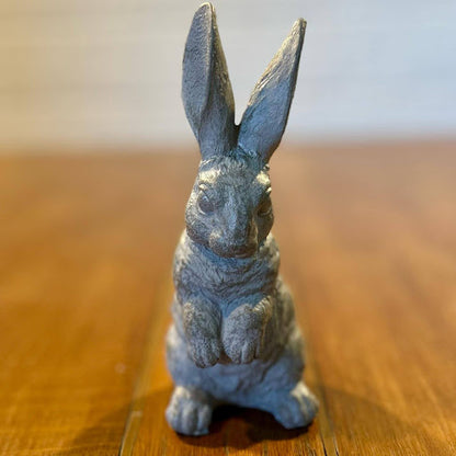 Begging Bunny