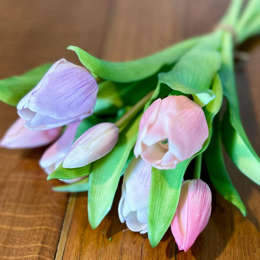 Light Pink and Violet Real Touch Tulip