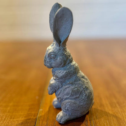 Begging Bunny