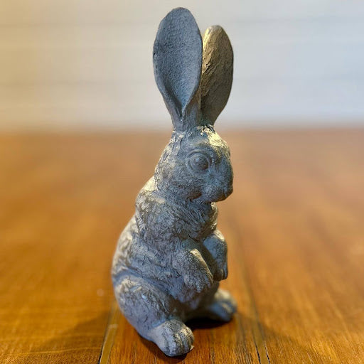 Begging Bunny