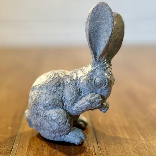 Bashful Bunny