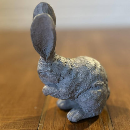 Bashful Bunny