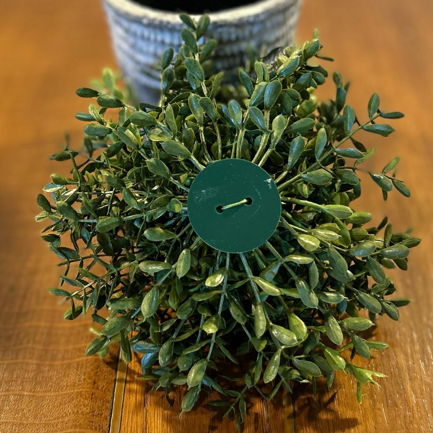 Boxwood Half Sphere