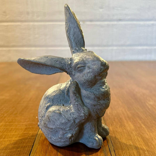 Scratching Bunny
