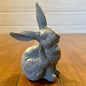 Scratching Bunny