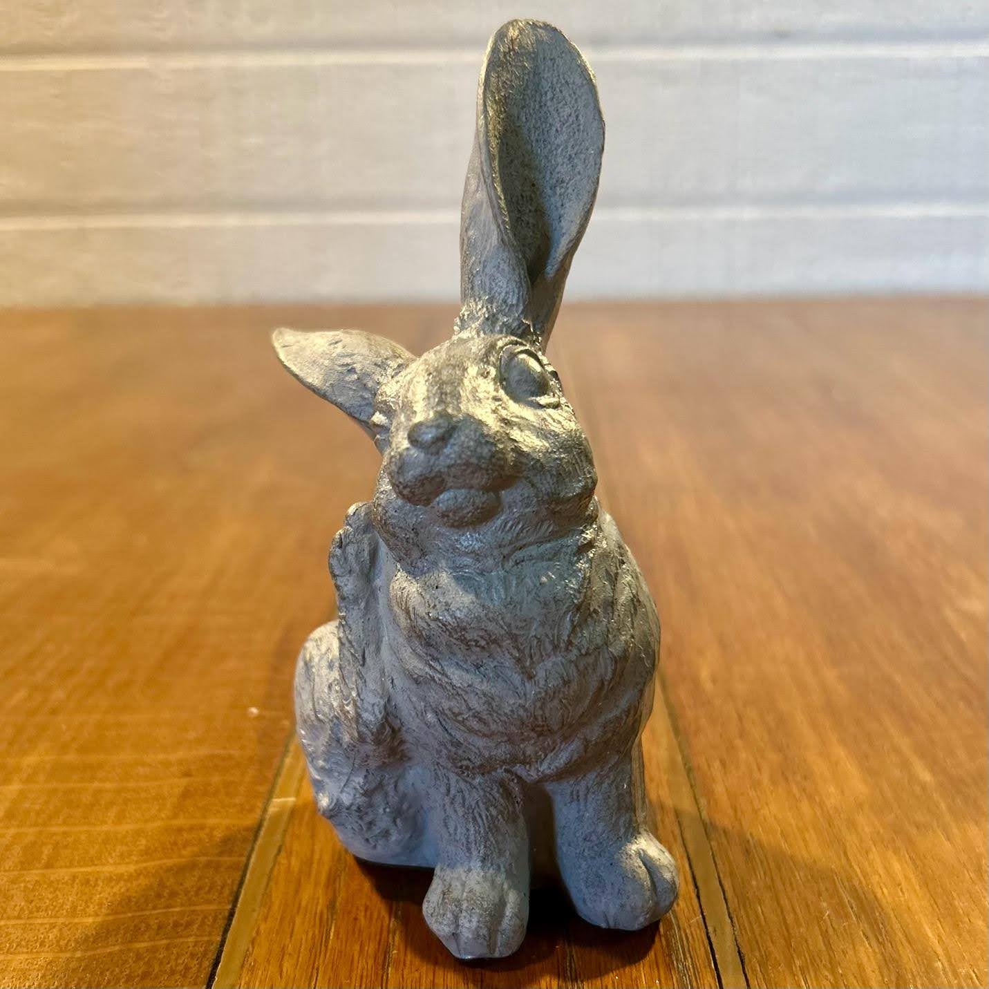 Scratching Bunny